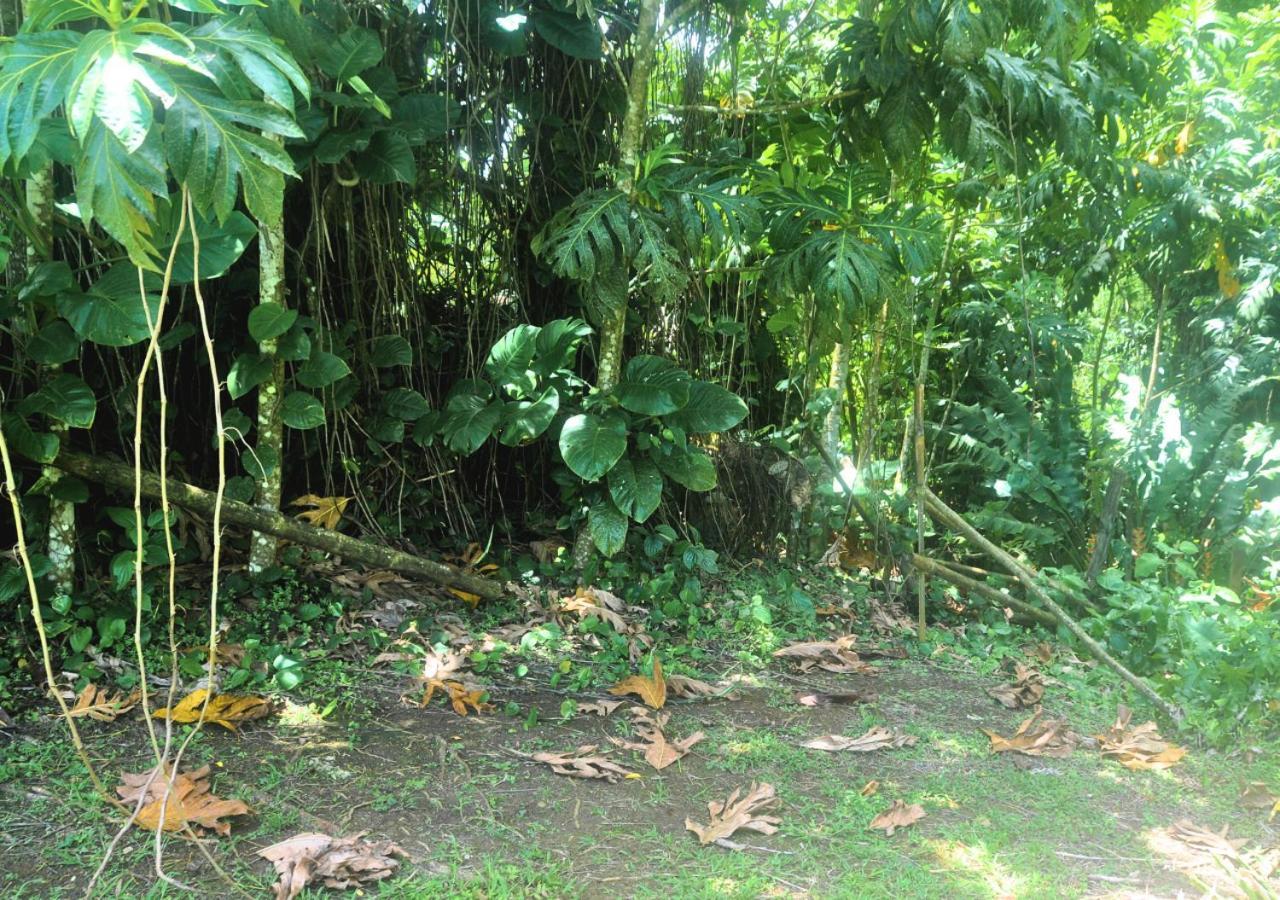 Villa Leila Sainte-Rose Luaran gambar